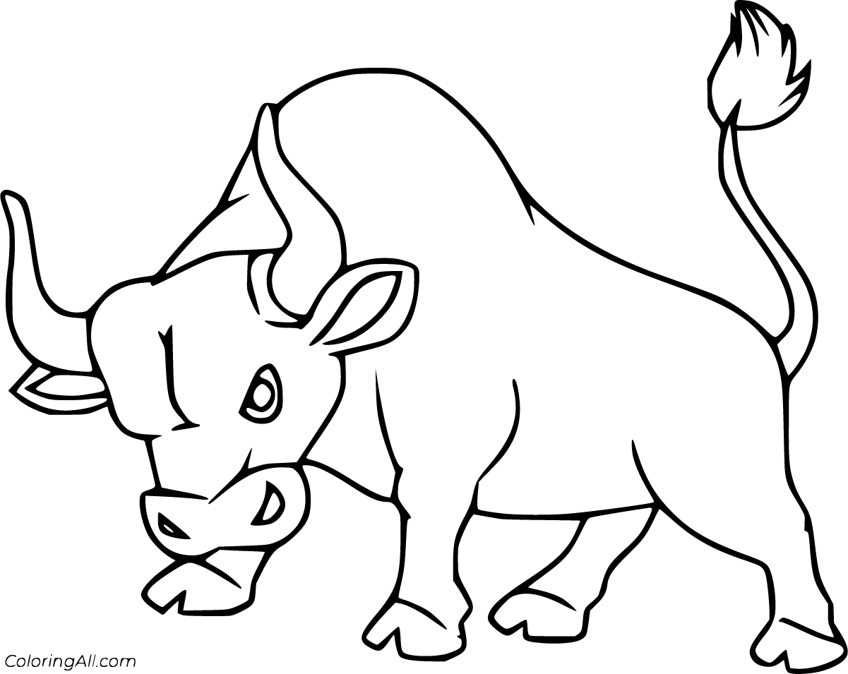 Bull coloring pages