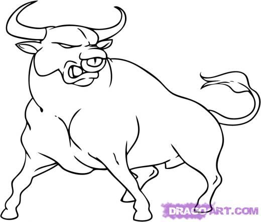 Bull pictures cow coloring pages drawings