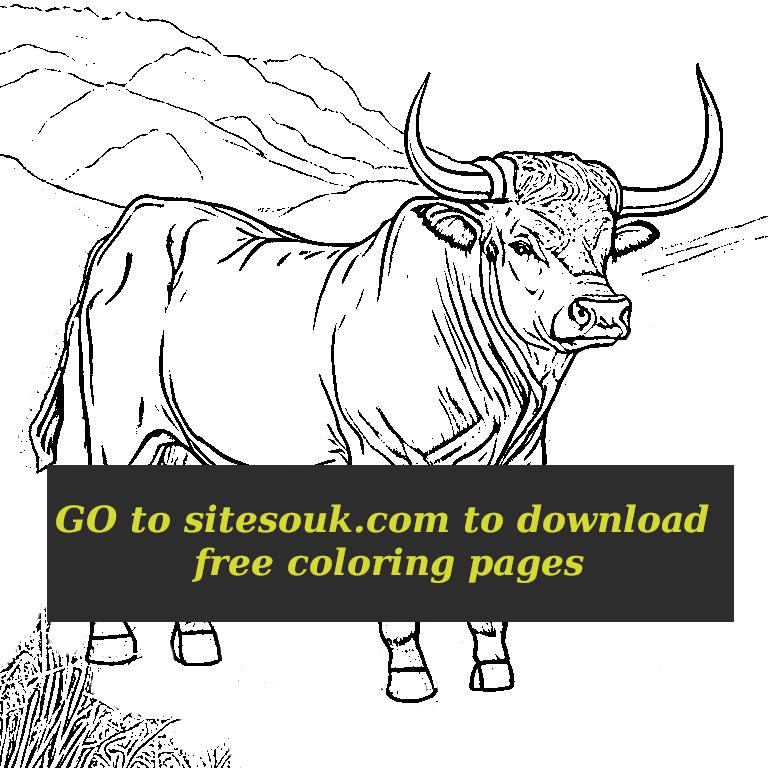 I made a bunch of bulls coloring pages for free rsitesouk coloring contest entrycontest for this week it will end on sunday apr th best colored page would win coins