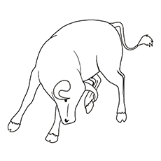 Cute bull coloring pages for your toddler