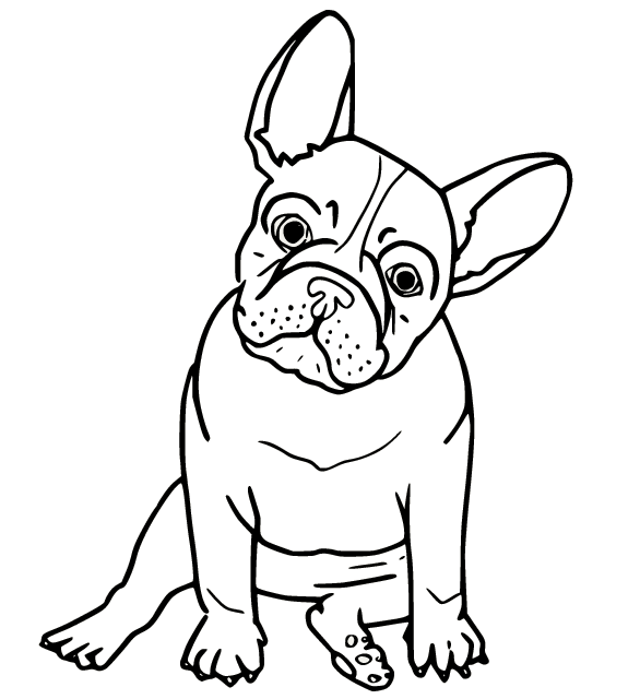 Bulldog coloring pages printable for free download