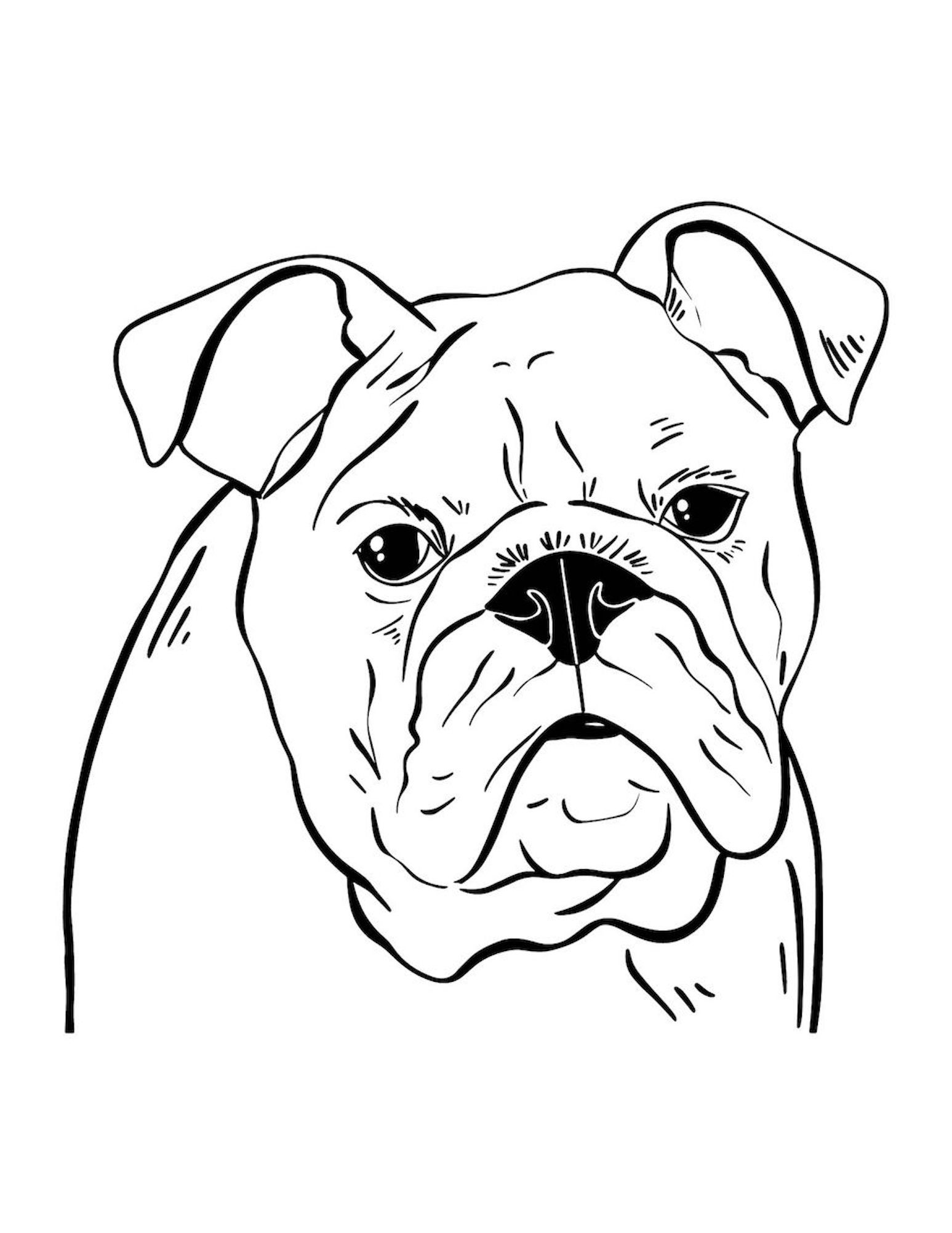 Dog coloring pages for kids and adults