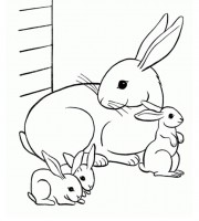 Top rabbit coloring pages for your little ones coloring pages