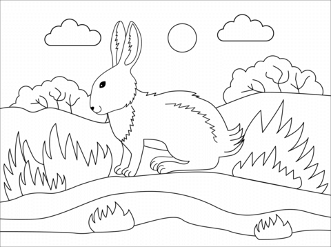 Bunny coloring page free printable coloring pages