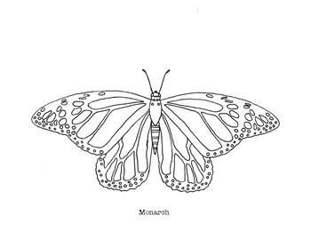 Monarch butterfly coloring page by mama draw it tpt