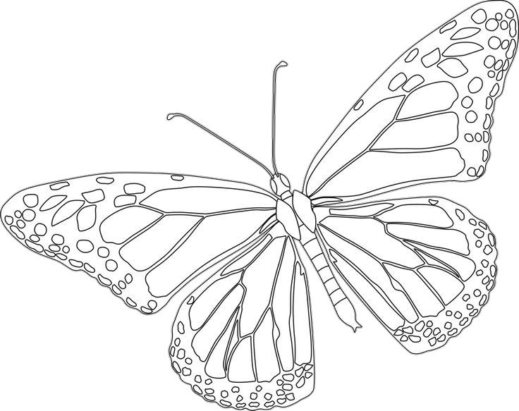 Monarch butterfly coloring pages printable butterfly coloring page butterfly drawing colorful butterfly tattoo
