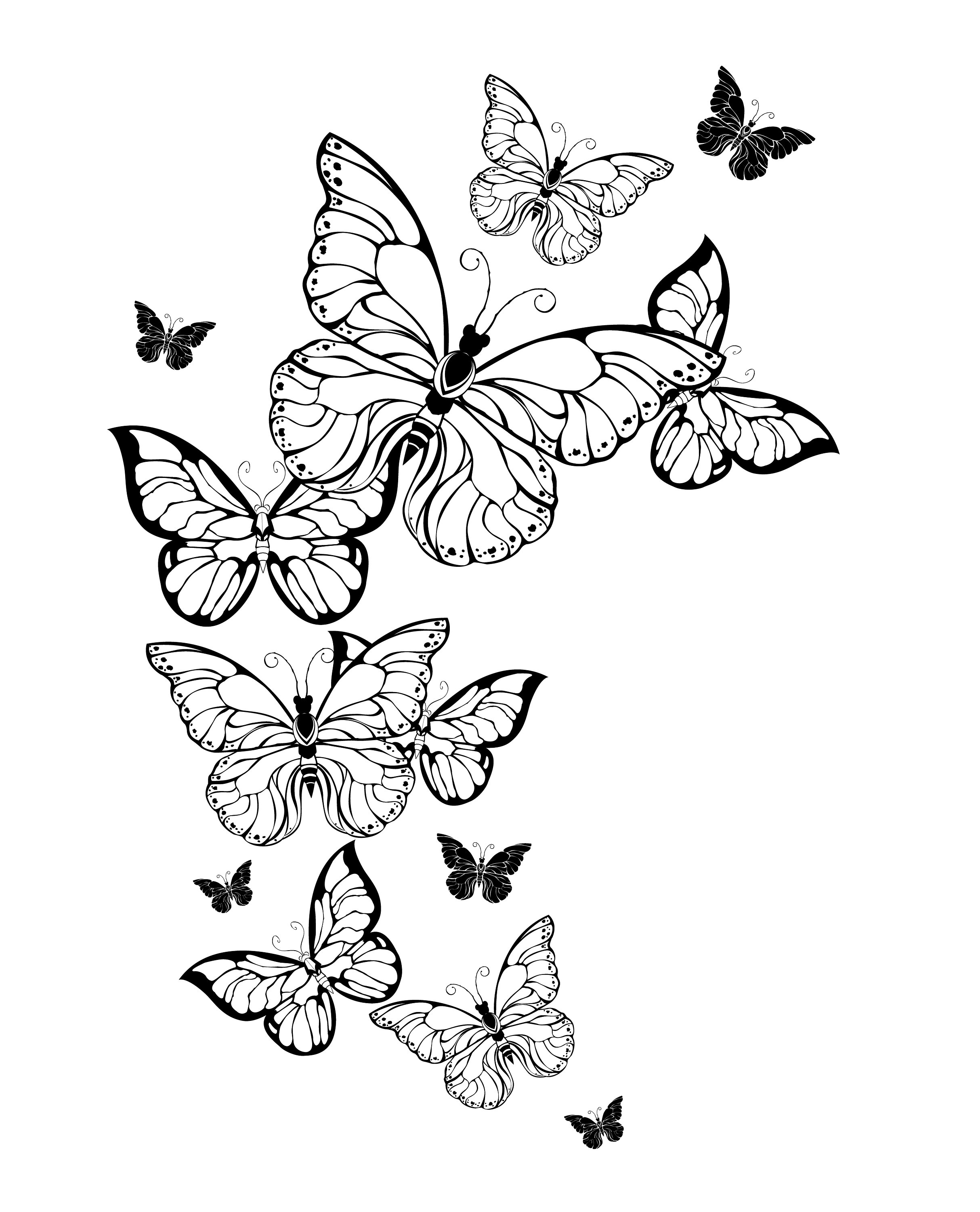 Butterfly coloring pages butterfly coloring book for adults downloadable digital printable