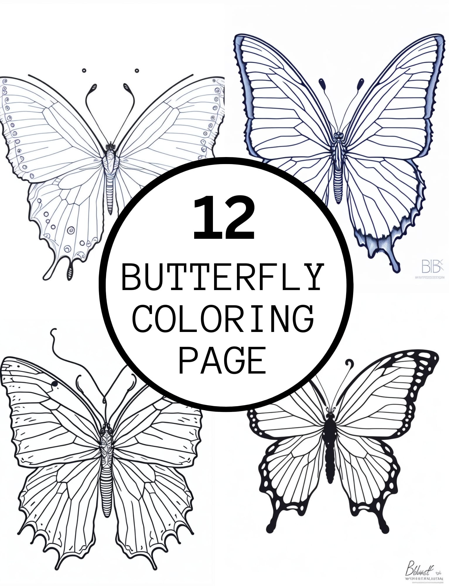 Realistic butterfly coloring pages for kids and adults made by teachers