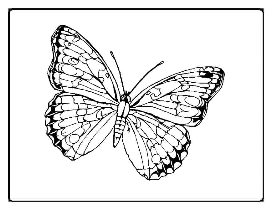 Your kids will love these butterfly coloring pages