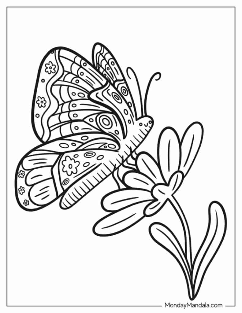 Butterfly coloring pages free pdf printables