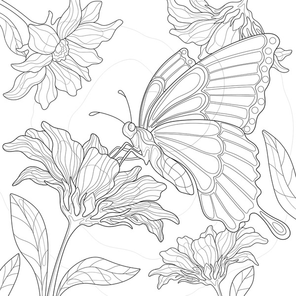 Thousand coloring book butterfly royalty