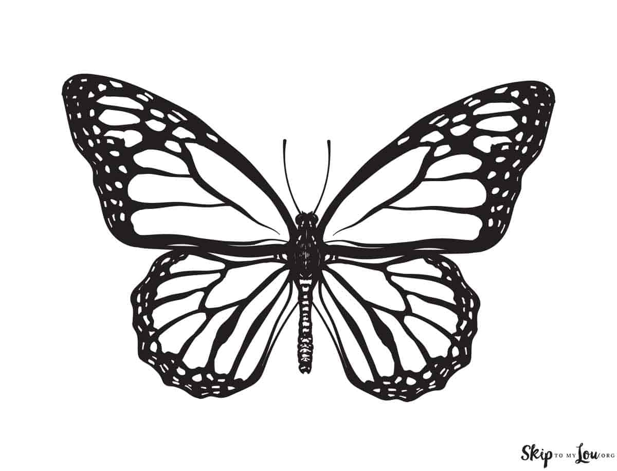 Beautiful butterfly coloring pages to download and print skip to my lou