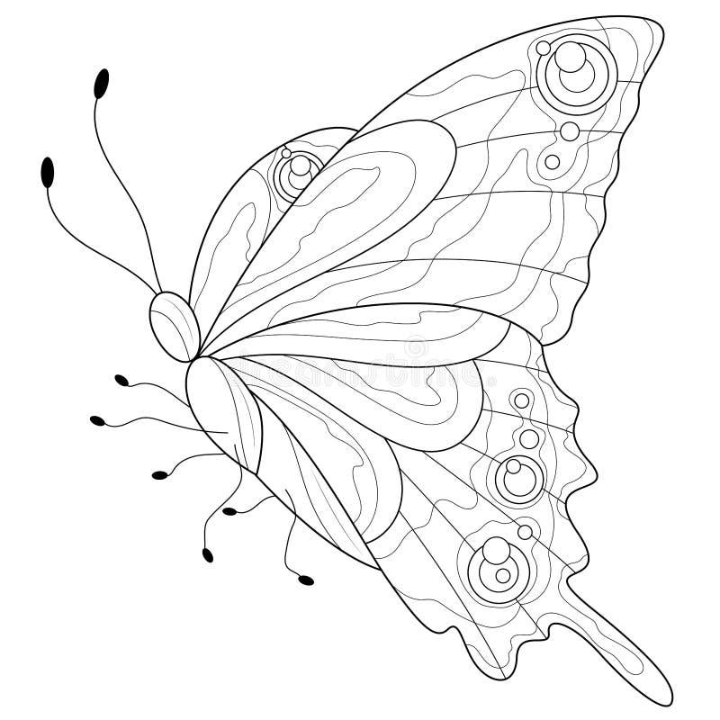 Butterflycoloring book antistress for children and adults stock vector
