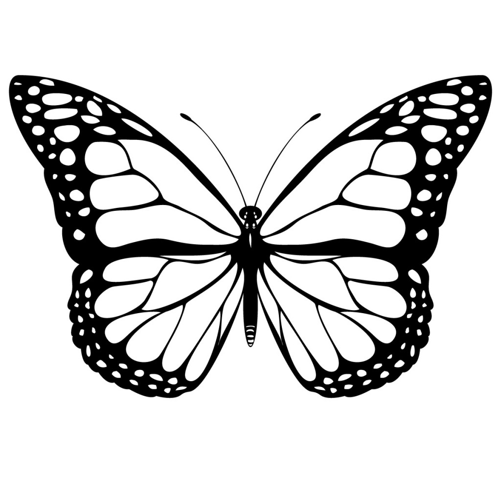 Free realistic butterfly download free realistic butterfly png images free cliparts on clipart library