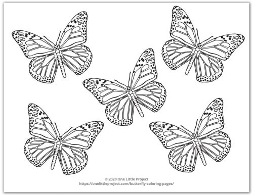 Butterfly coloring pages free printable butterflies