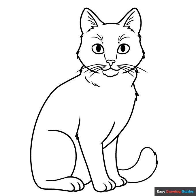 Realistic cat coloring page easy drawing guides cat coloring page cat drawing tutorial realistic cat drawing