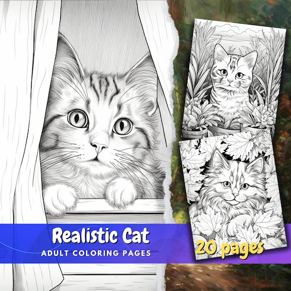 Realistic cat coloring pages instant download digital coloring pages