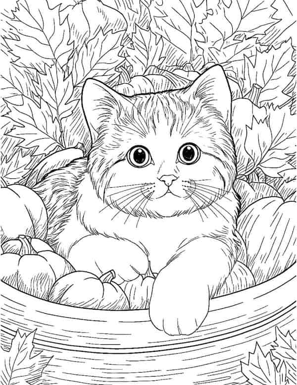 Cute cat coloring pages for kids and adults