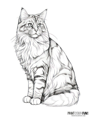 Paws play cat coloring pages craft fun more at