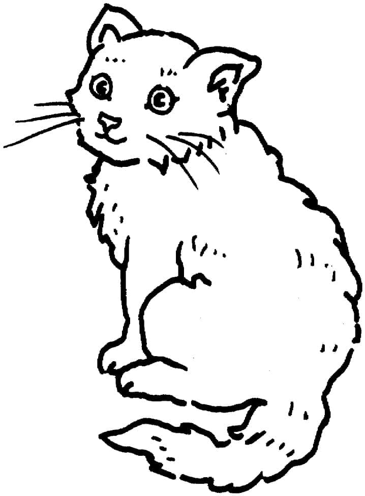 Cute cat coloring page