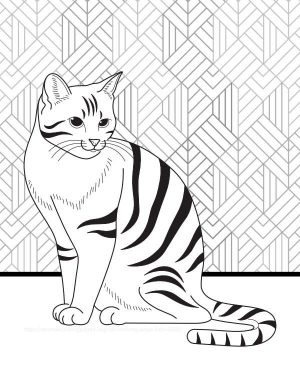 Free cat coloring sheet with pattern background