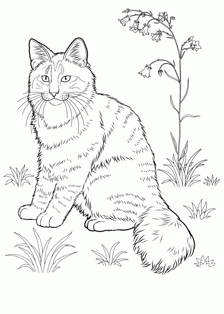 Cat coloring pages for adults