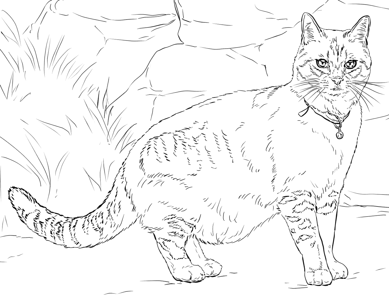 Cat coloring pages for adults