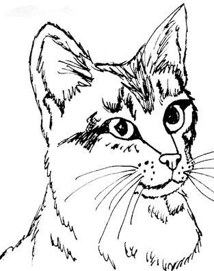 Realistic cat coloring pages printable cat coloring page cat coloring book animal coloring pages