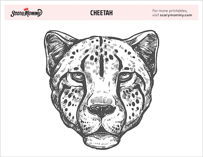 Cheetah coloring pages that make a purr