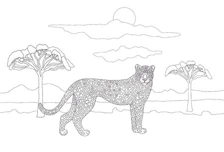 Cheetah coloring page stock vector illustration and royalty free cheetah coloring page clipart