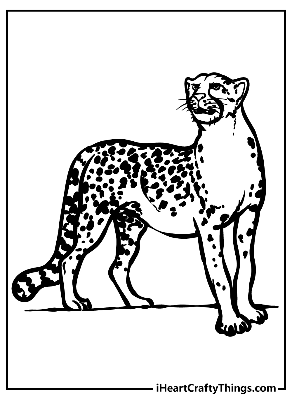 Cheetah coloring pages free printables