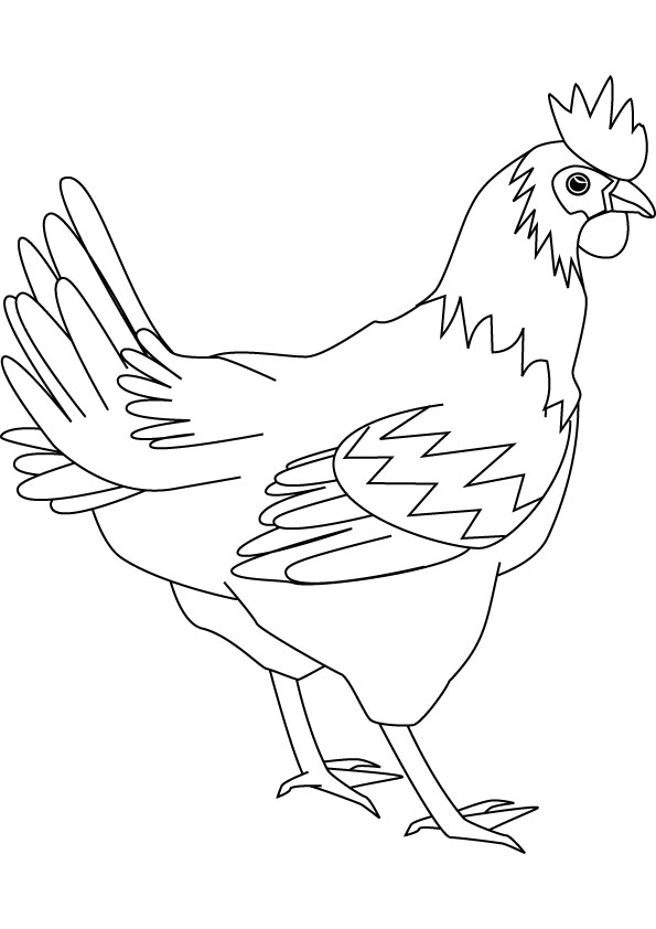 Hen free coloring page