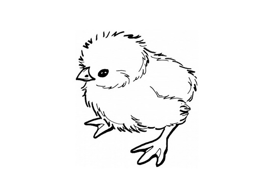 Chick coloring page