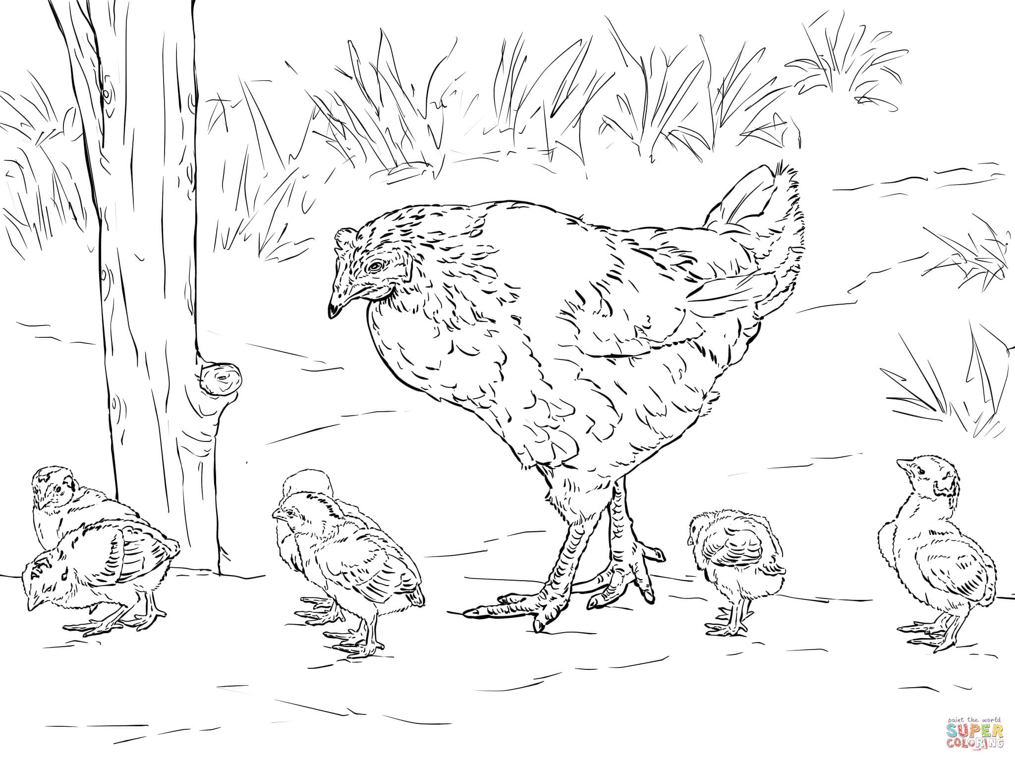Hen with chicks coloring page free printable coloring pages