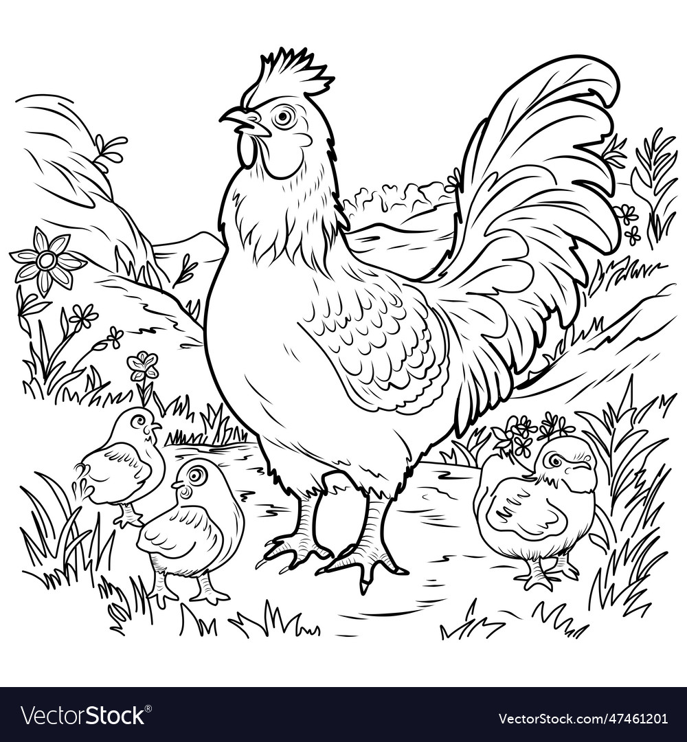 Bird farm coloring page hens and chicks linear vector image