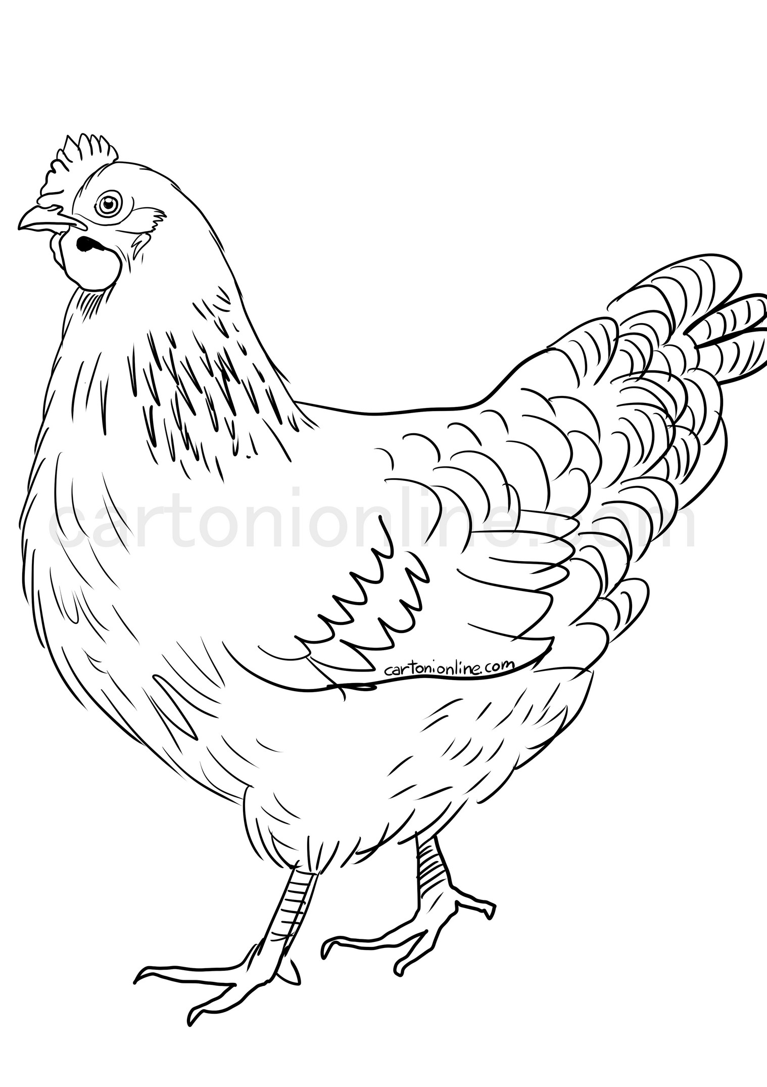 Realistic hen coloring page