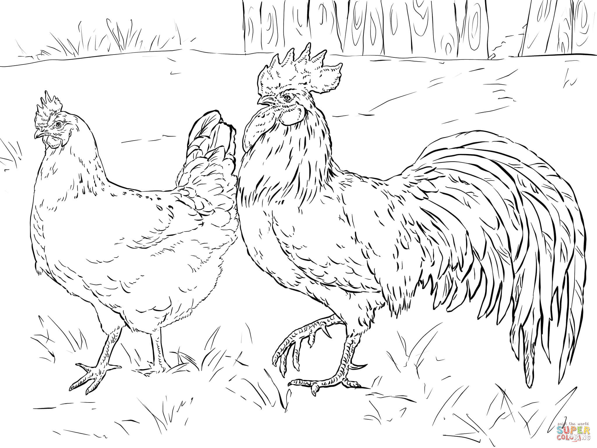 Hen and rooster coloring page free printable coloring pages