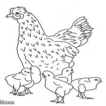 Hen with chicks coloring pages