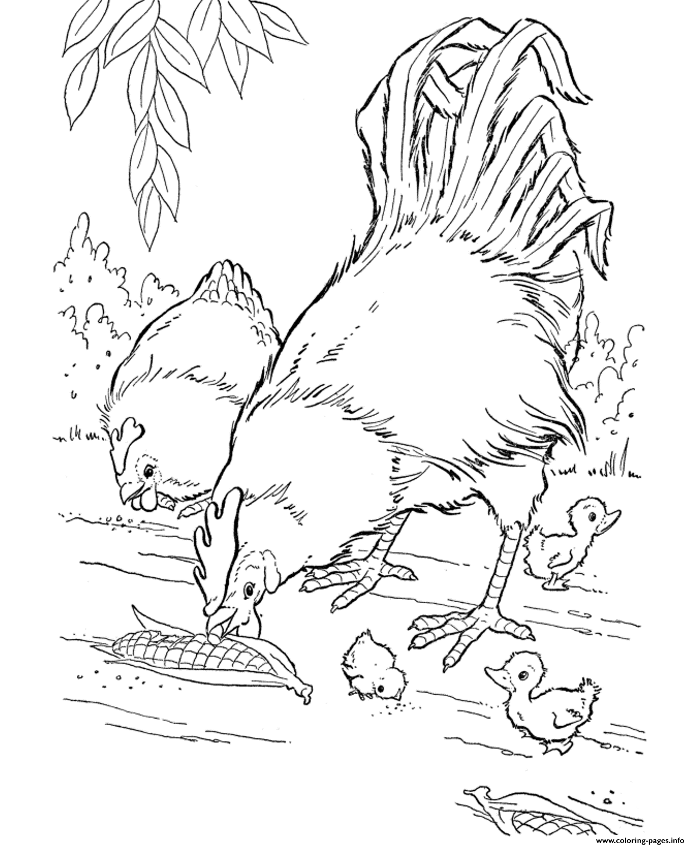 Print realistic hen and rooster farm animal scc coloring pages farm coloring pages farm animal coloring pages chicken coloring pages