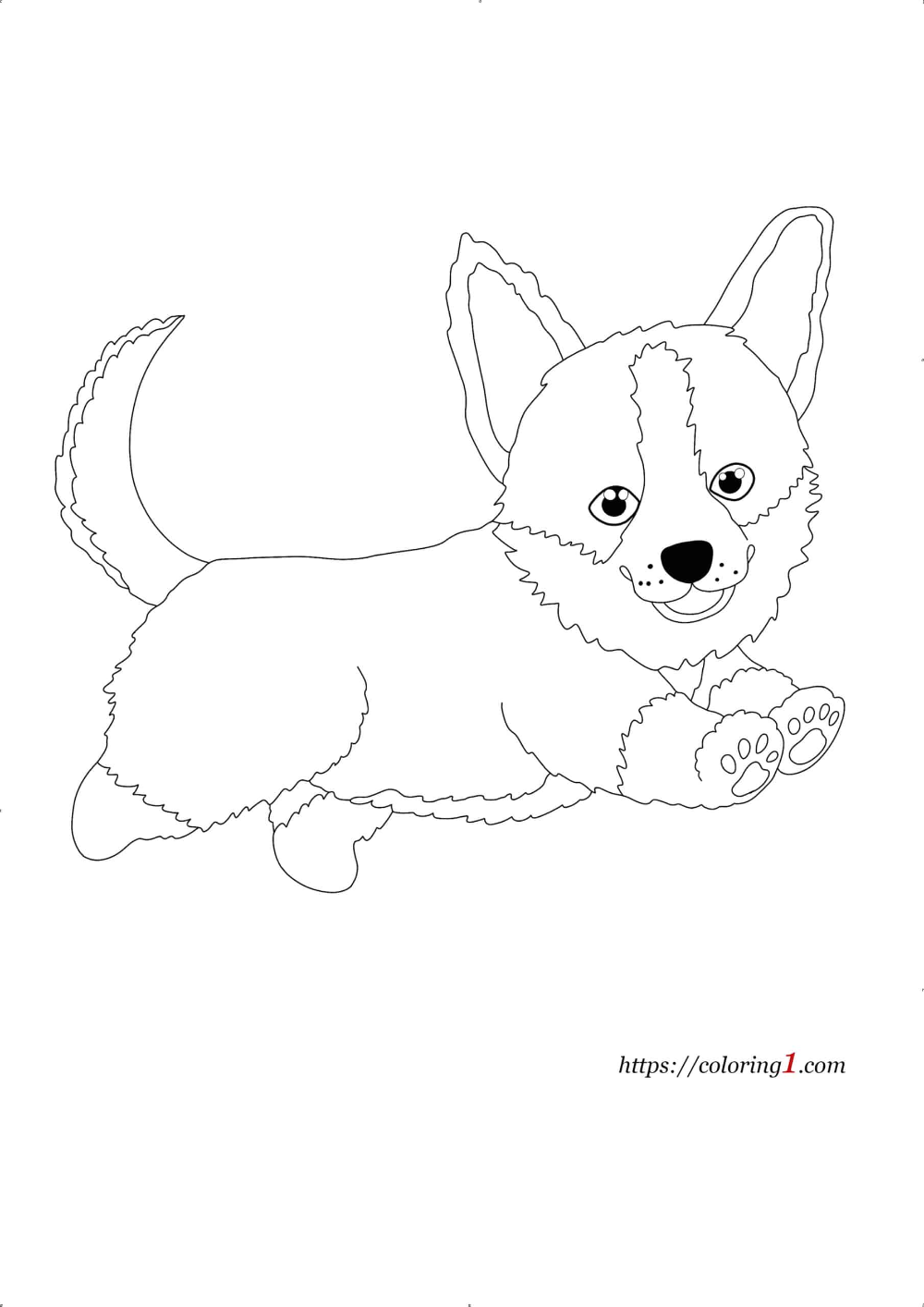 Cute corgi dog coloring pages