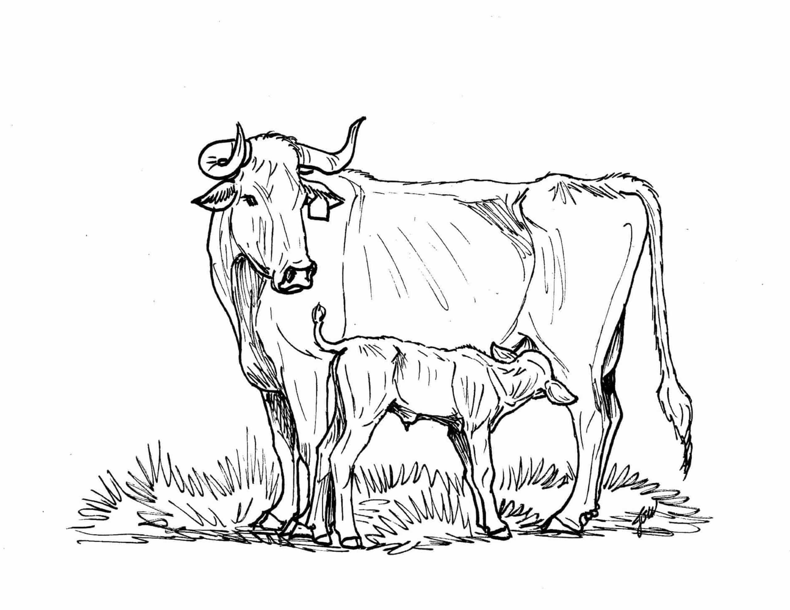 Ranching coloring pages