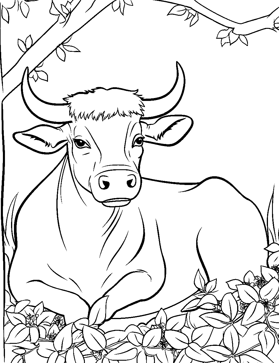 Cow coloring pages free printable sheets