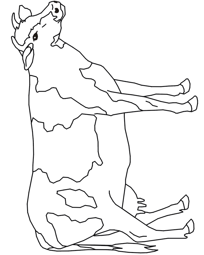 Cow coloring page a realistic cow drawing