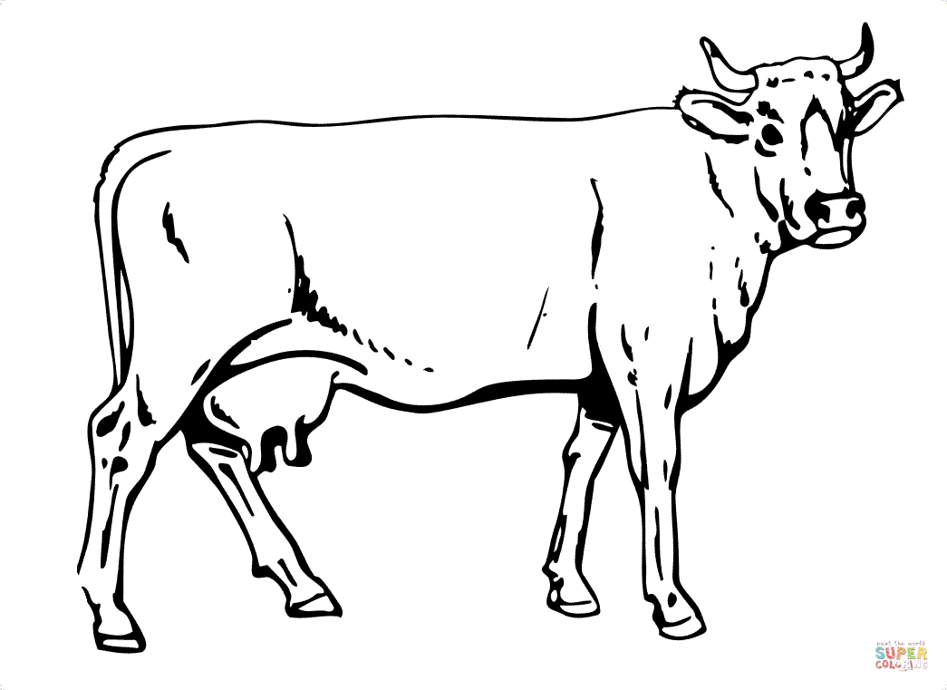 Cow coloring page free printable coloring pages