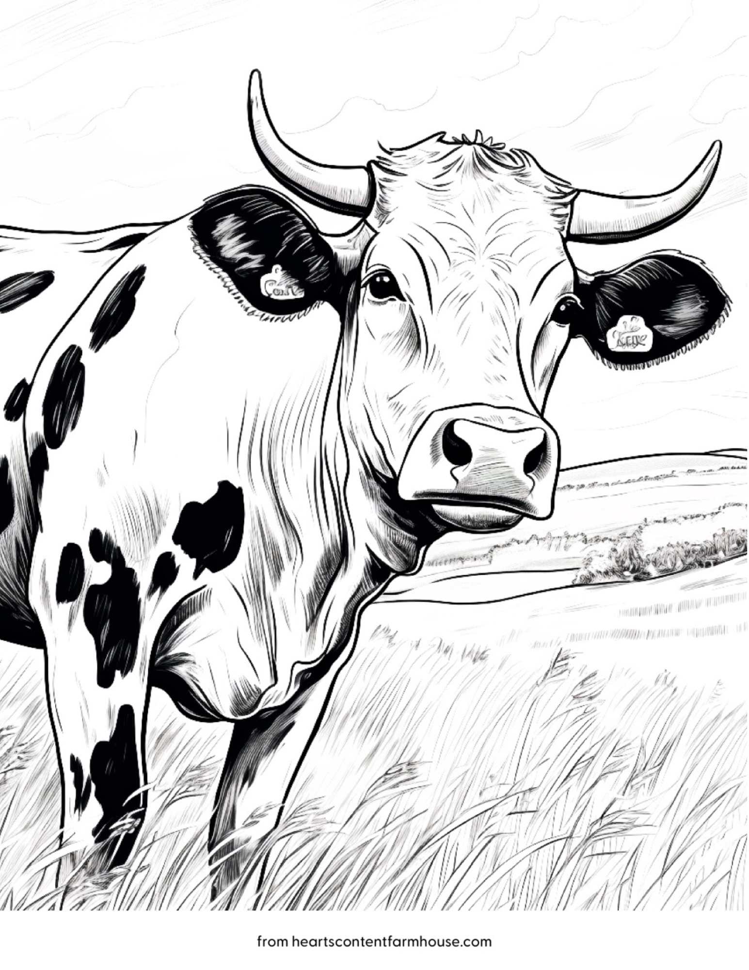 Cow coloring pages easy and beautiful designs for all ages