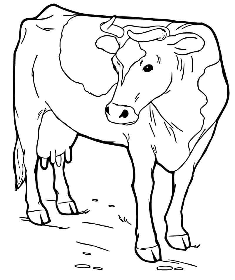 Free cow for kids coloring page