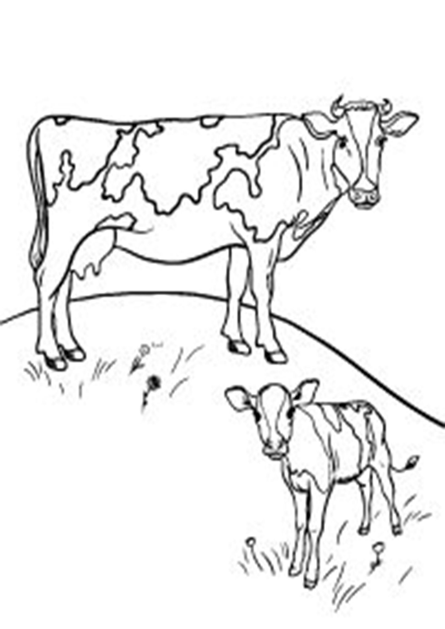 Free easy to print cow coloring pages farm animal coloring pages farm coloring pages cow coloring pages