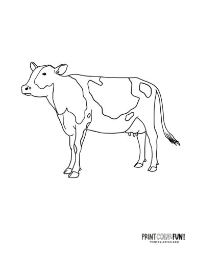 Cow coloring pages clipart at