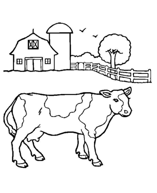 Free printable cow coloring pages for kids