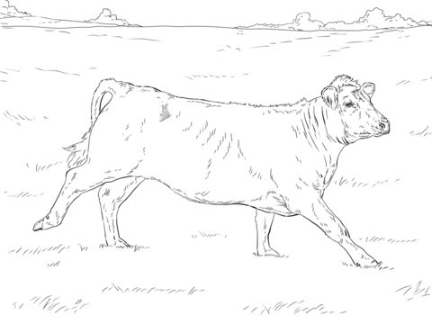 Running cow coloring page free printable coloring pages animal coloring books cow coloring pages coloring pages nature